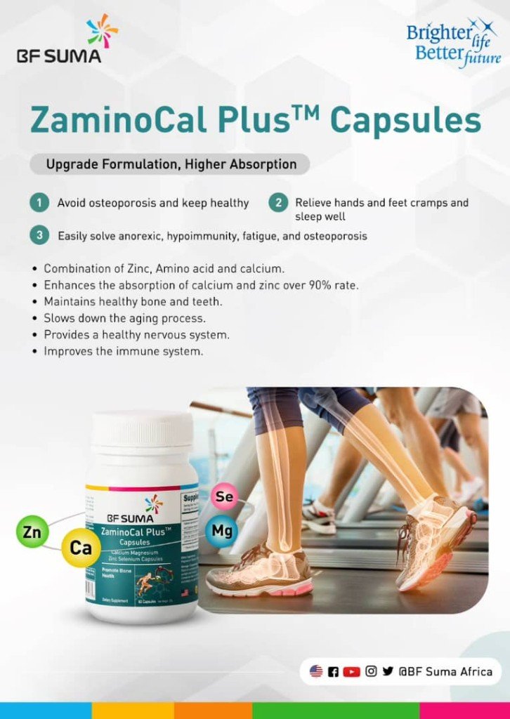 Zaminacal Plus
